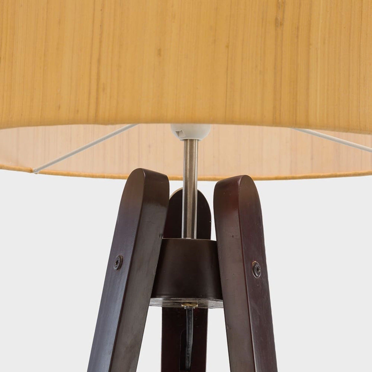 Orion (Aquila) - Walnut wood finish