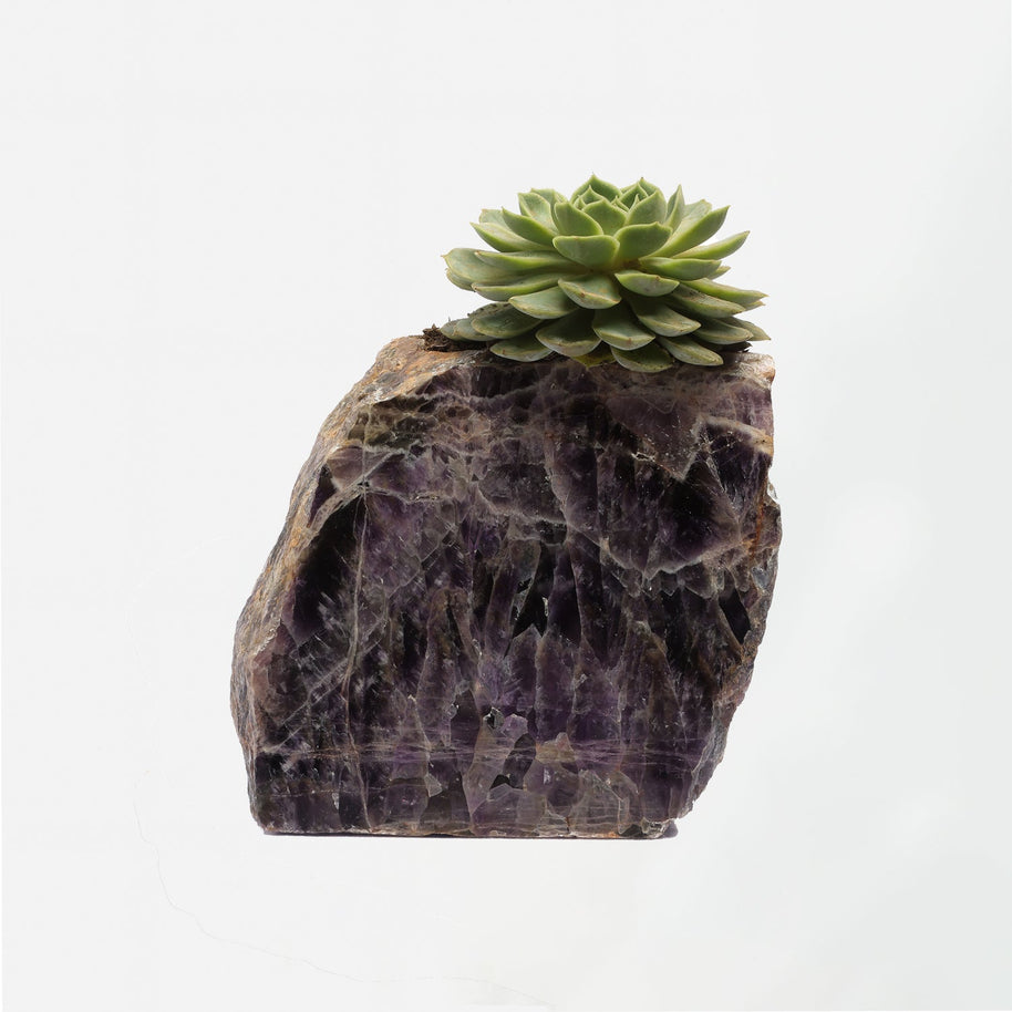 Semi Precious Planter
