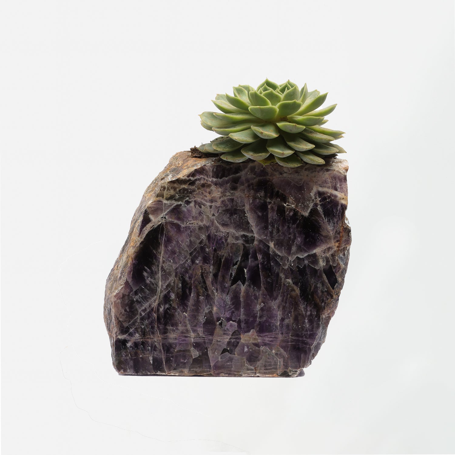 Semi Precious Planter