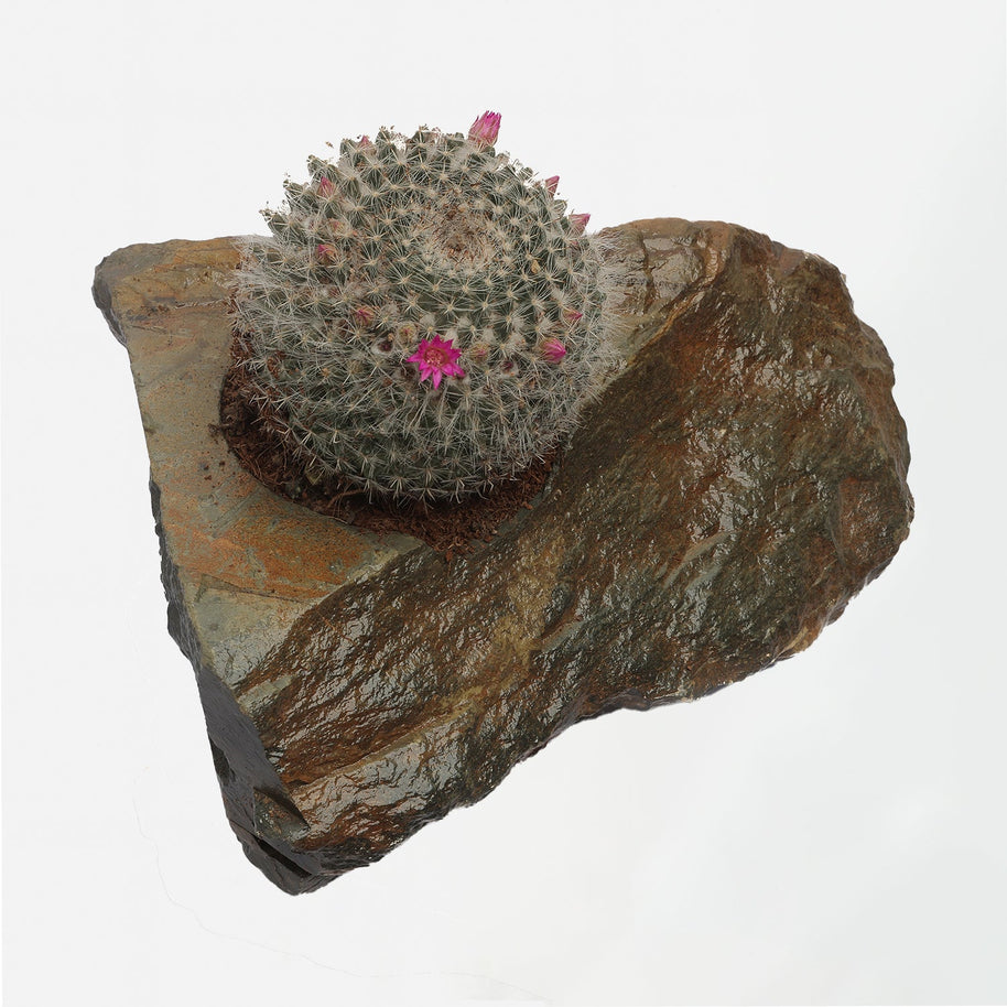 Slate Planter