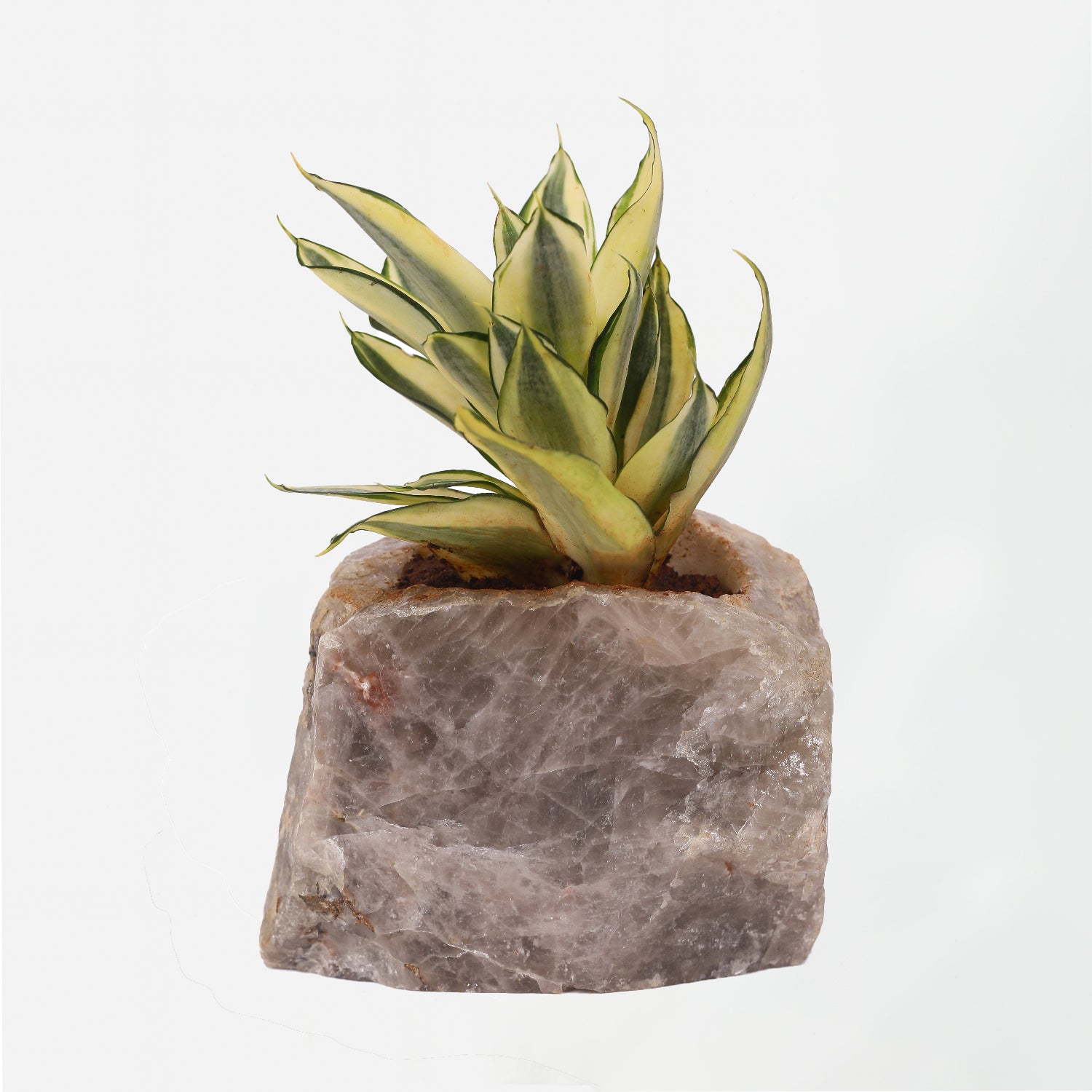 Semi Precious Planter