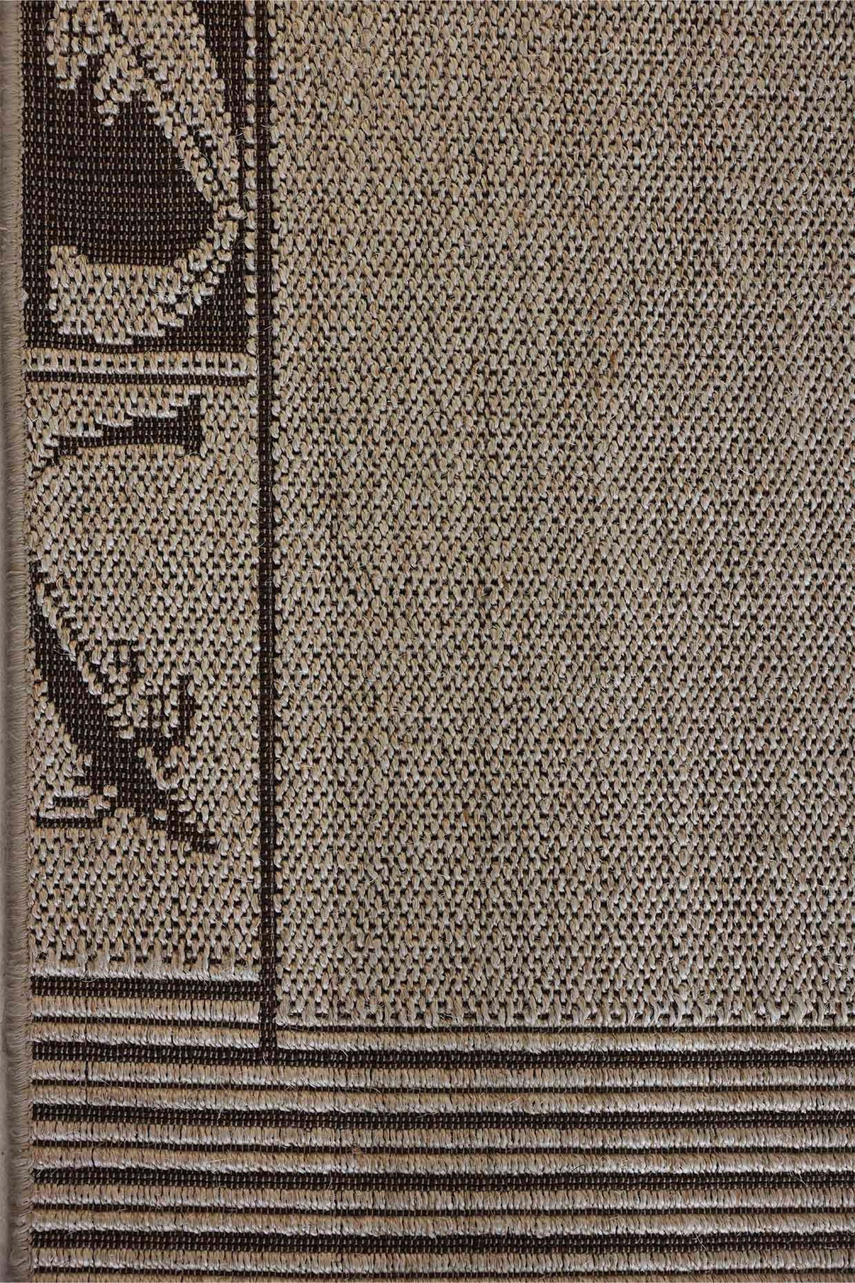 Arayan Beige Sisal 6x9 feet Rectangle Rug