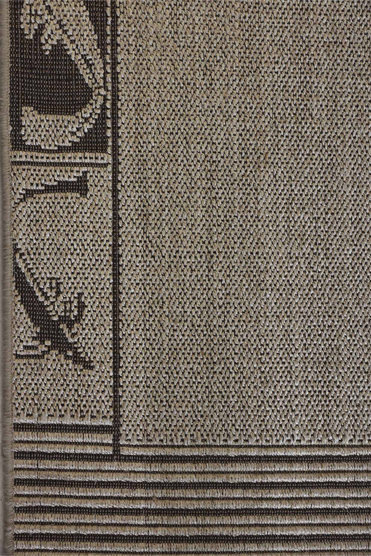 Arayan Beige Sisal 6x9 feet Rectangle Rug