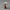 Love & Light: Oil Lamps