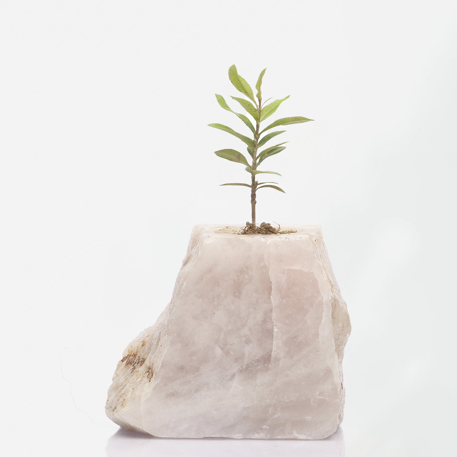 Semi Precious Planter