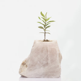 Semi Precious Planter