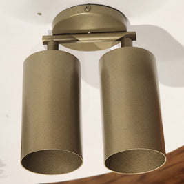 CLH172 Beige Dual Spot Ceiling Light