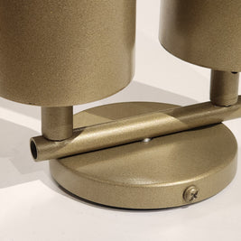 CLH172 Beige Dual Spot Ceiling Light