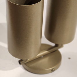 CLH172 Beige Dual Spot Ceiling Light