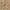 Pakhi Chinoiserie Design Customised Wallpaper for Rooms, Beige
