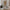 Reed Floor Lamp