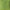 Habitat Forest Fern x 2