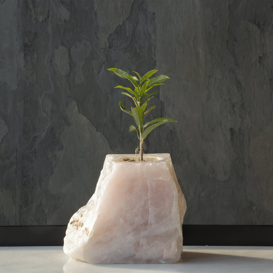 Semi Precious Planter