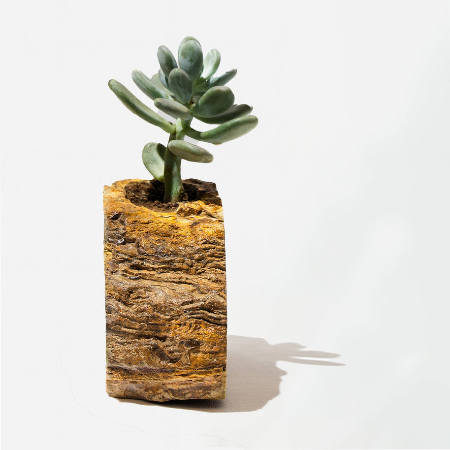 Semi Precious Planter-Yellow Lace