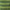 Habitat Forest Foliage x 2