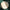 Hail & Hearty: Basik [Teal]