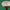 UT Pop - Oil Lamp - Tall [Block Red]