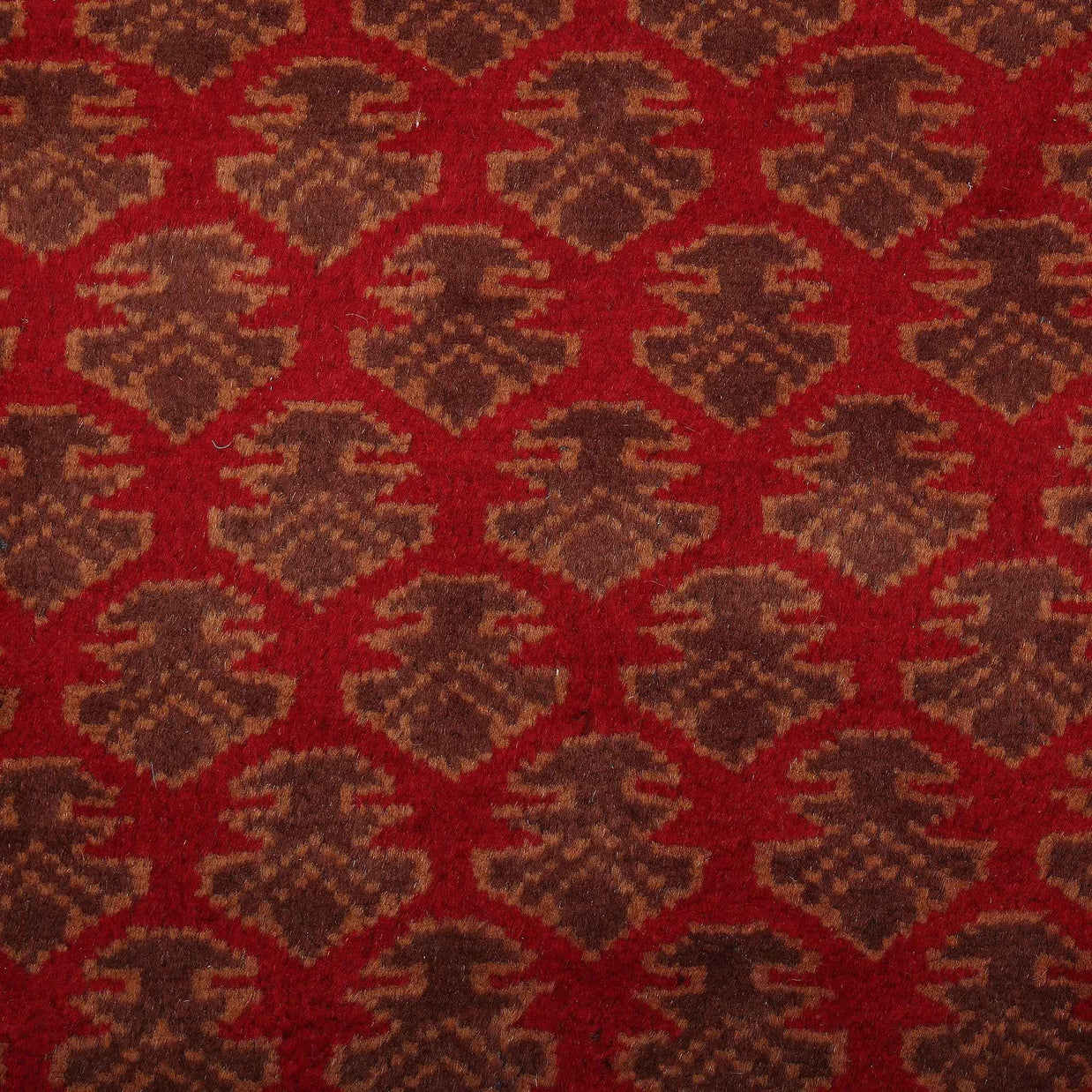 Ruhana Bagh