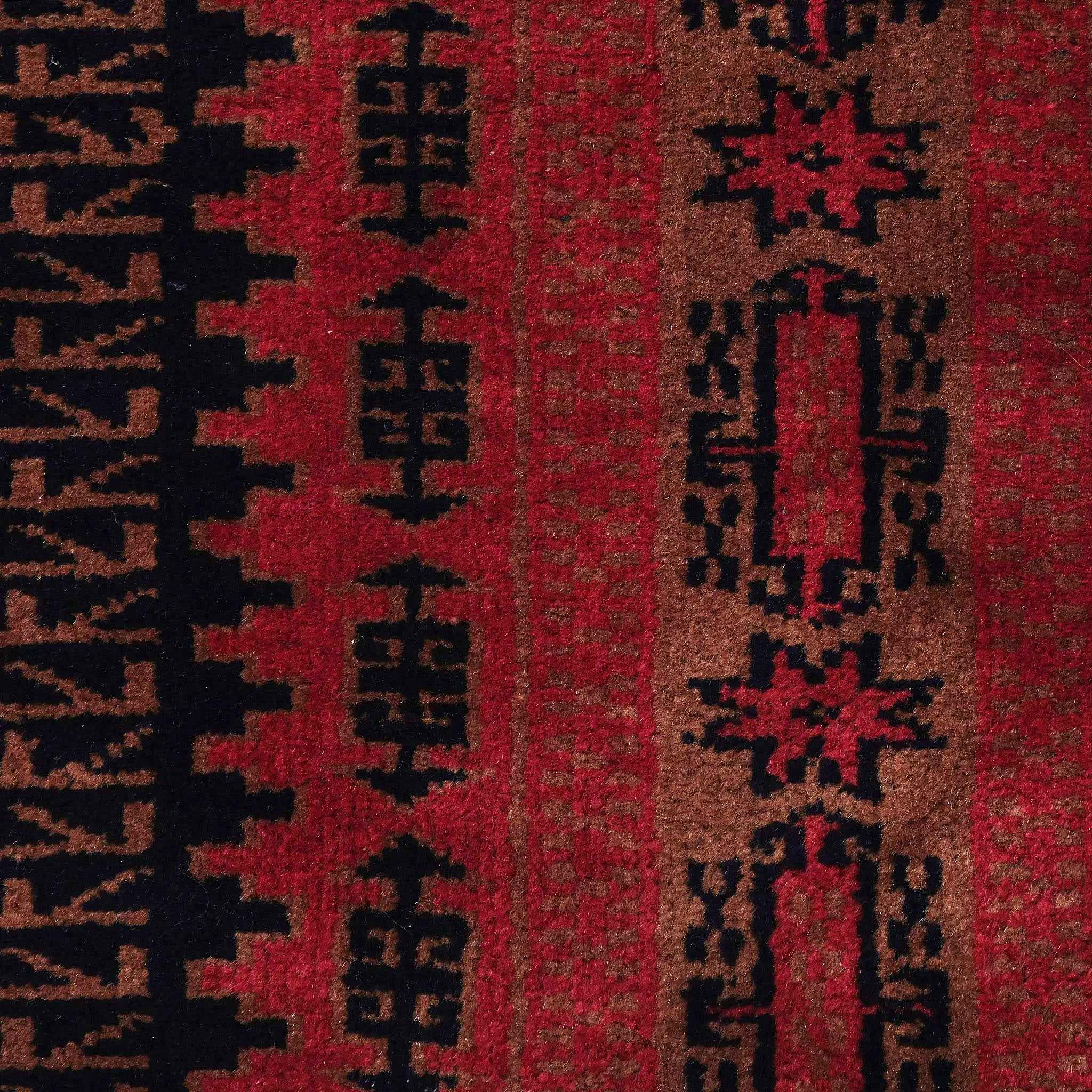 Zarqash Nomad