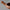 Arth Pan