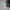 Fyre 2.0 - Large [Green]