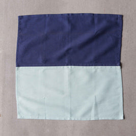 Basik Napkin - Aqua (Set of 6)