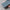 BASIK POP - MITTEN - TEAL/CORAL