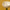UT Pop - Oil Lamp - Tall [Block Green]