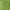 Habitat Forest Fern x 2