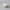 Fyre 2.0 - Small [White]