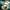 Hail & Hearty: Basik [Teal]
