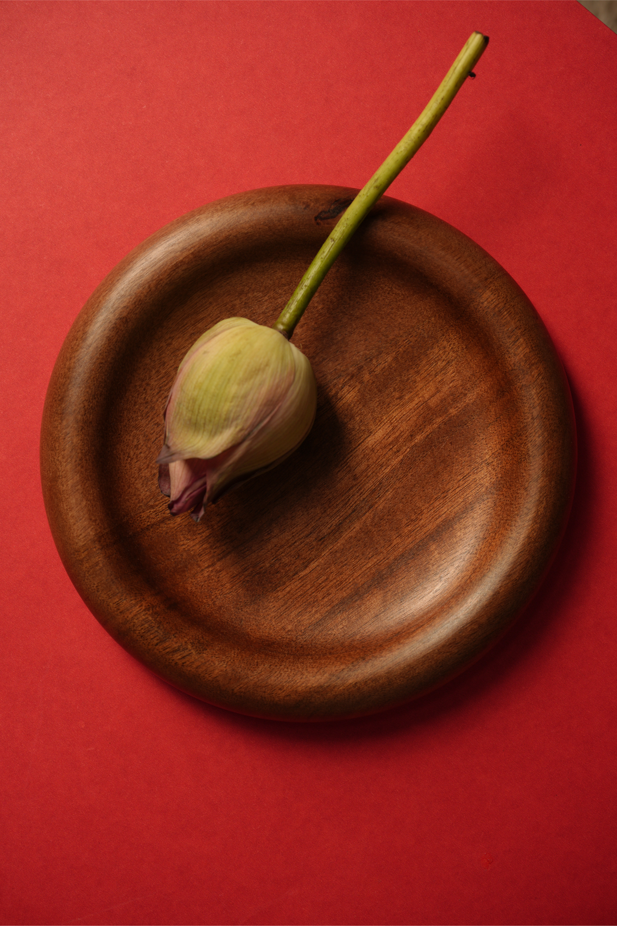 Orbit Plate - Single