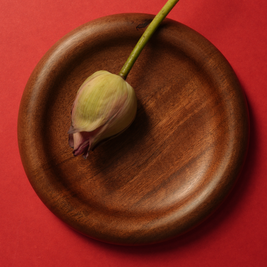 Orbit Plate - Single
