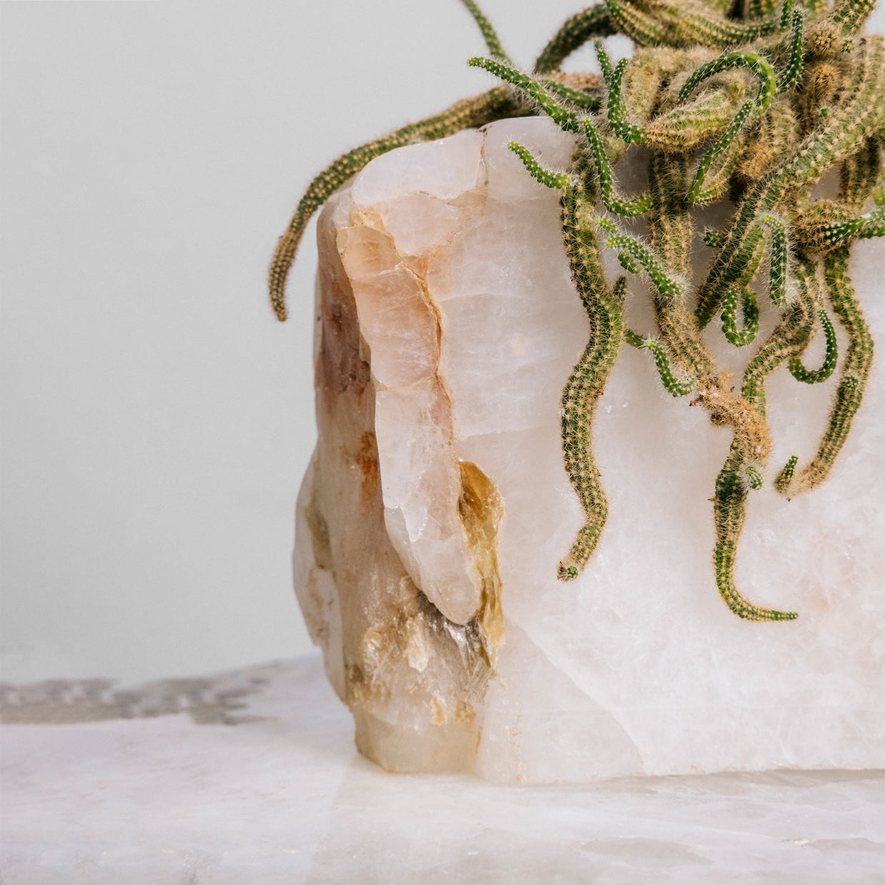 Semi Precious Planter