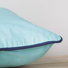 Habitat Sea Turtle x 2