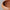 Arth Pan