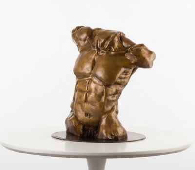 Torso