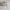 Fyre 2.0 - Small [Green]
