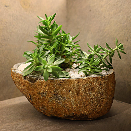 Boulder Planter - I MEAN DESIGN