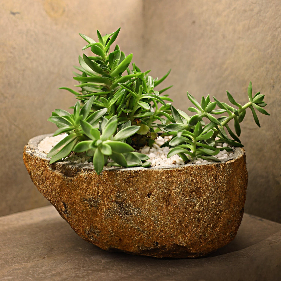 Boulder Planter