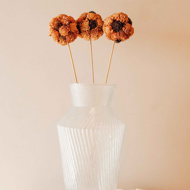 Brown Sola Atta Flower Ball Sticks – Handmade Dried Flower Decor (Set of 3)