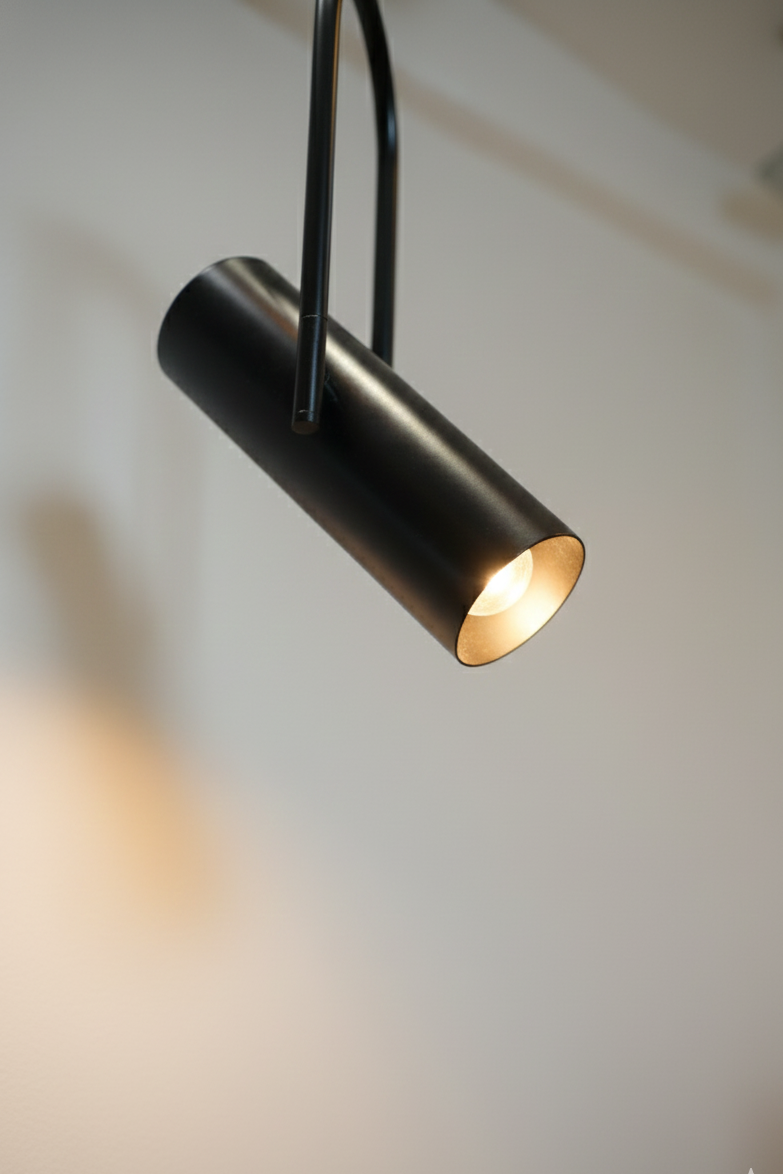 CLH183 The Focus Spot Pendant Light - The Black Steel