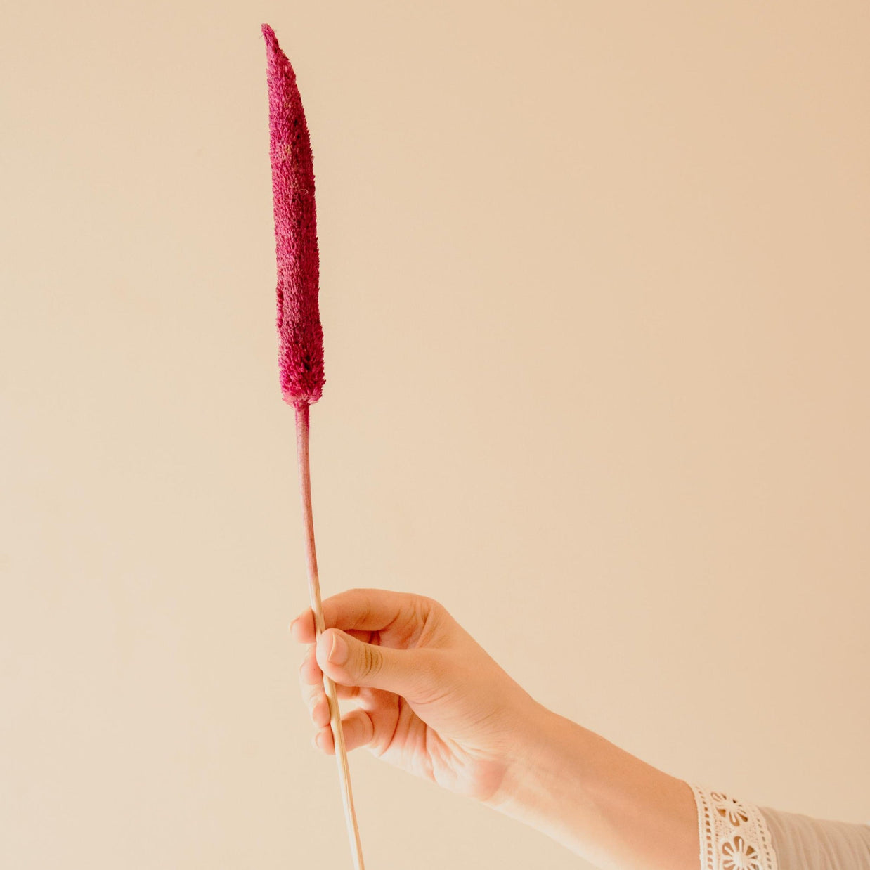 Bazra mini - pink - https://artecasa.in/