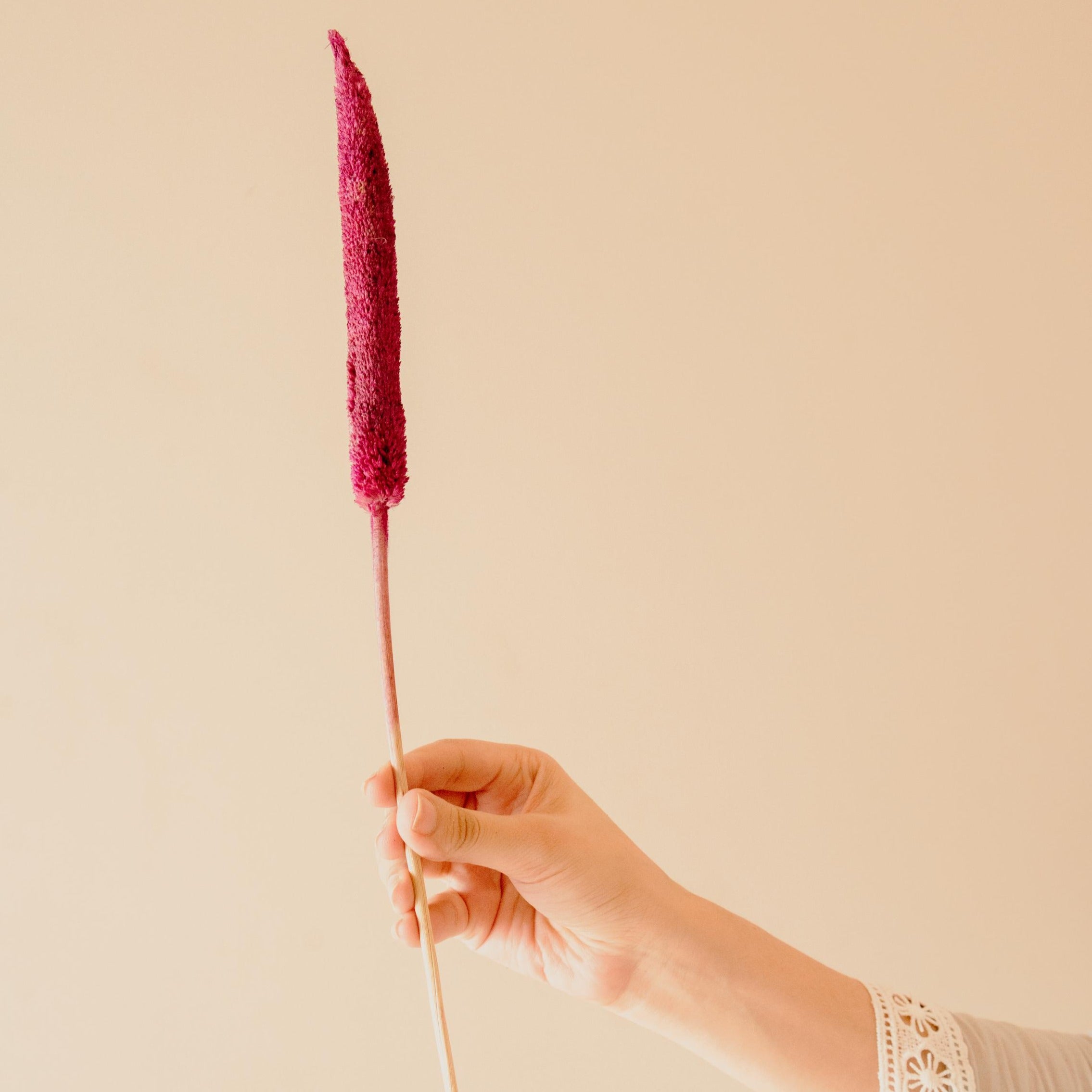 Bazra mini - pink - https://artecasa.in/