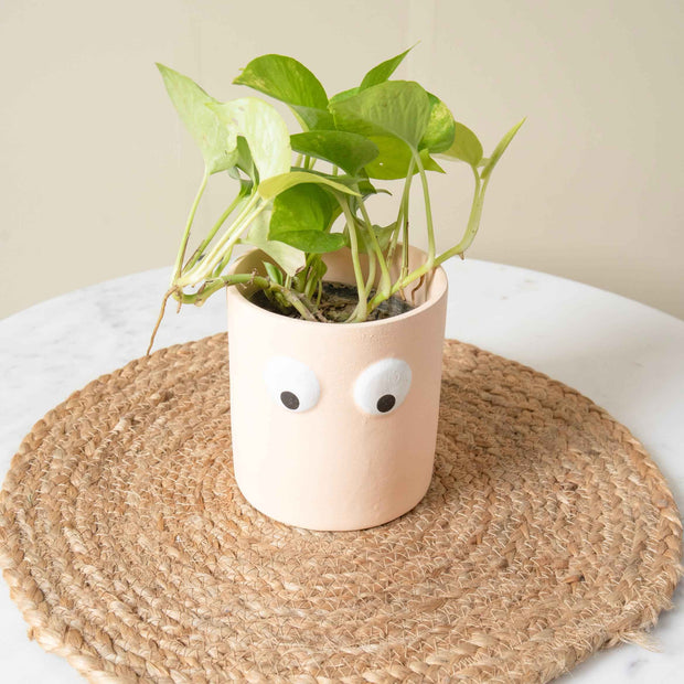 Face of Green Planter | Sculpted Ceramic Face Pot