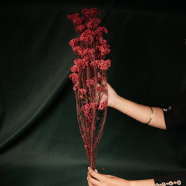 Dried Rice Flowers for Decor | Natural Floral Bunch - https://artecasa.in/