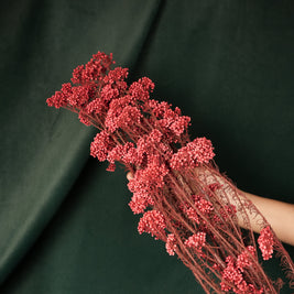 Dried Rice Flowers for Decor | Natural Floral Bunch - https://artecasa.in/