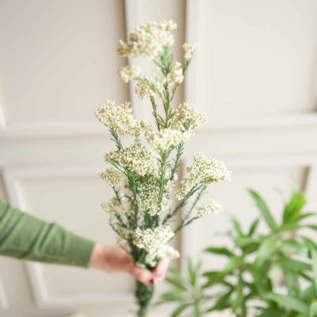 White Rice Flower Dried Bunch | Elegant Natural Dried Flowers for Home Decor & Gifting – ArteCasa