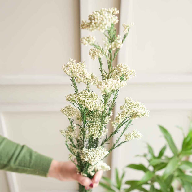 White Rice Flower Dried Bunch | Elegant Natural Dried Flowers for Home Decor & Gifting – ArteCasa