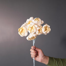 Dual shade sola peony-Yellow and white - https://artecasa.in/